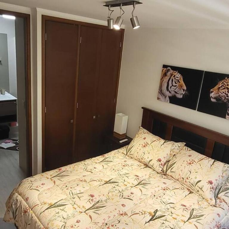 DEPARTAMENTO, VIVE PUCON SIN AUTO - Two-Bedroom Apartment - 11