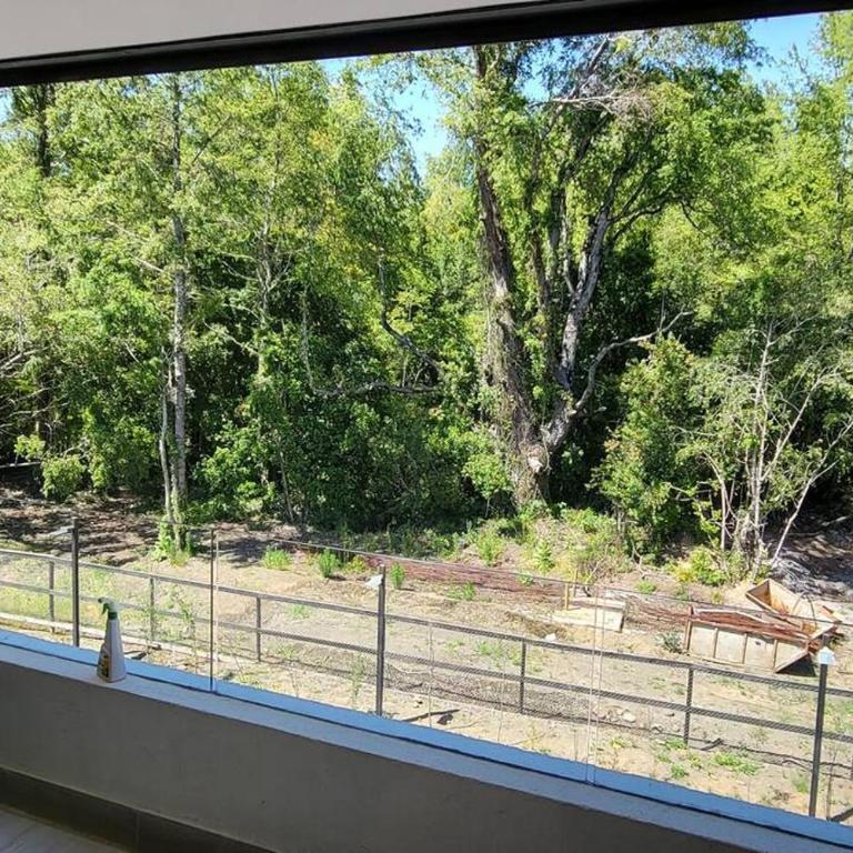 DEPARTAMENTO, VIVE PUCON SIN AUTO - Two-Bedroom Apartment - 12