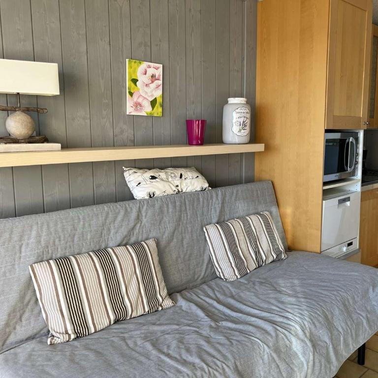 Studio Cabine Calme, Proche Plage, Lave-Linge, Animaux OK - FR-1-702-26 - Studio - 6