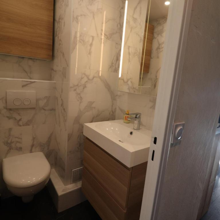 Studio lumineux rénové avec balcon - Proche pistes - FR-1-502-443 - Studio - 6