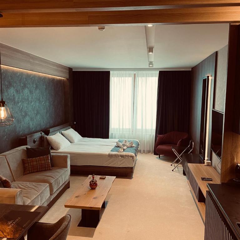 Woodside Apartman Kopaonik 315 - Studio Apartment - 2