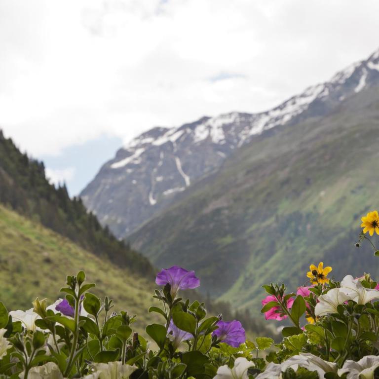 Hotel Garni Rifflsee - Comfort Doppelzimmer mit Balkon - 1