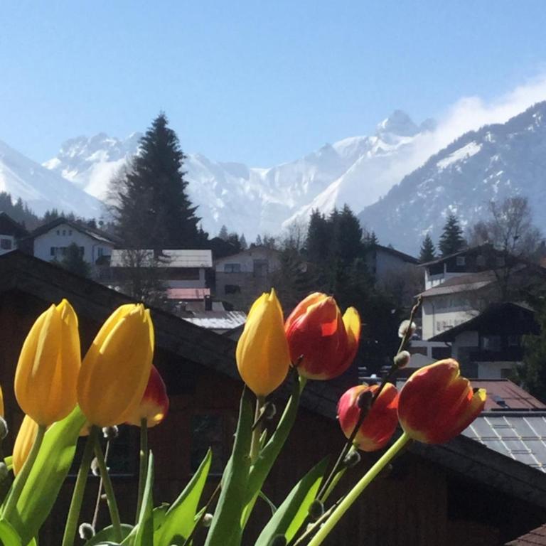 Ferienwohnung Baldauf - Apartment mit Blick auf die Berge - 7