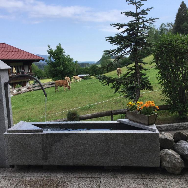 Ferienwohnung Baldauf - Apartment mit Blick auf die Berge - 5