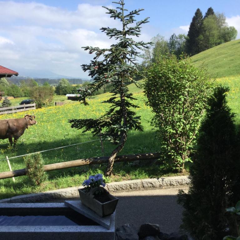 Ferienwohnung Baldauf - Apartment mit Blick auf die Berge - 8