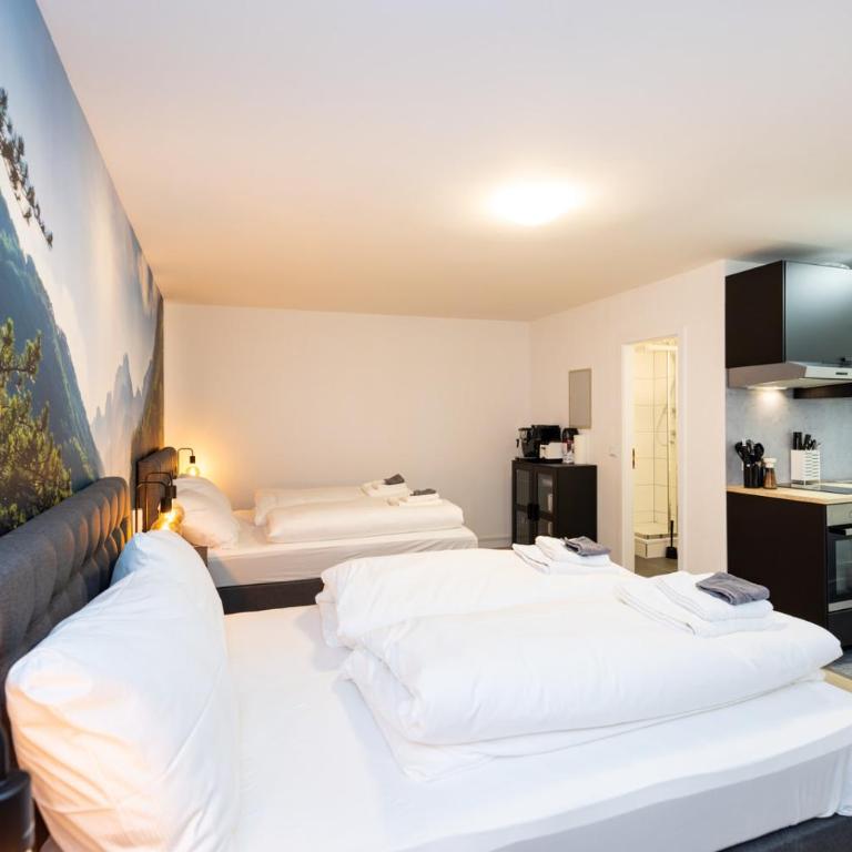 Modernes Apartment in der Innenstadt - Studio 35 with 2 double beds and balcony - 20