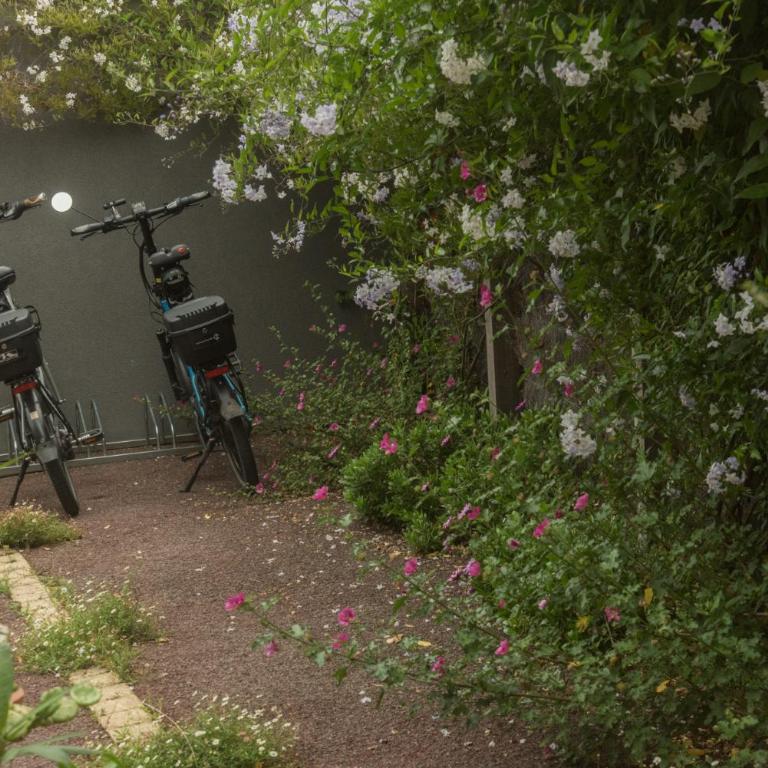 chambre d'hôte et gîte du jardin des corsaires - Chambre Double - Vue sur Jardin - 19