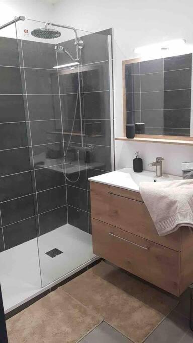 Appartement cosy proche la Part Dieu - Appartement 1 Chambre - 17