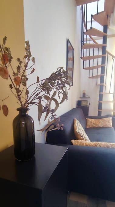 Duplex Canal du Midi - Appartement 1 Chambre - 22