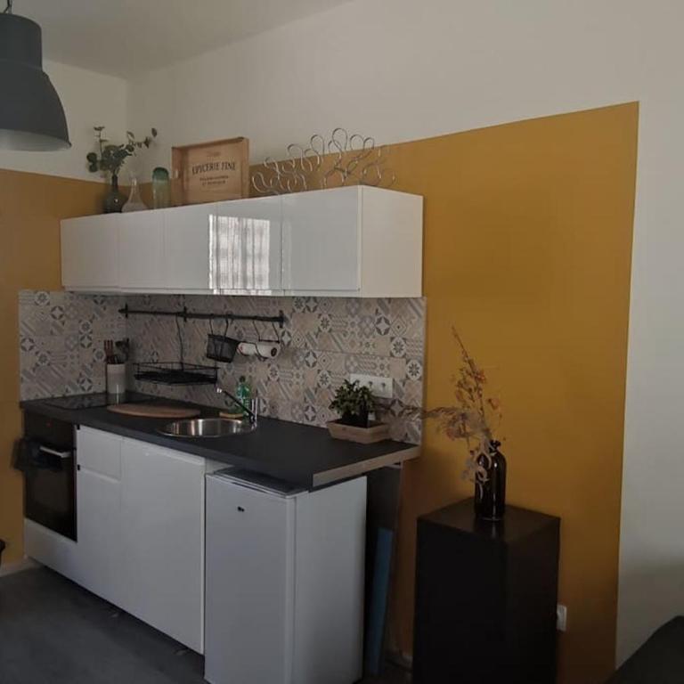 Duplex Canal du Midi - Appartement 1 Chambre - 23