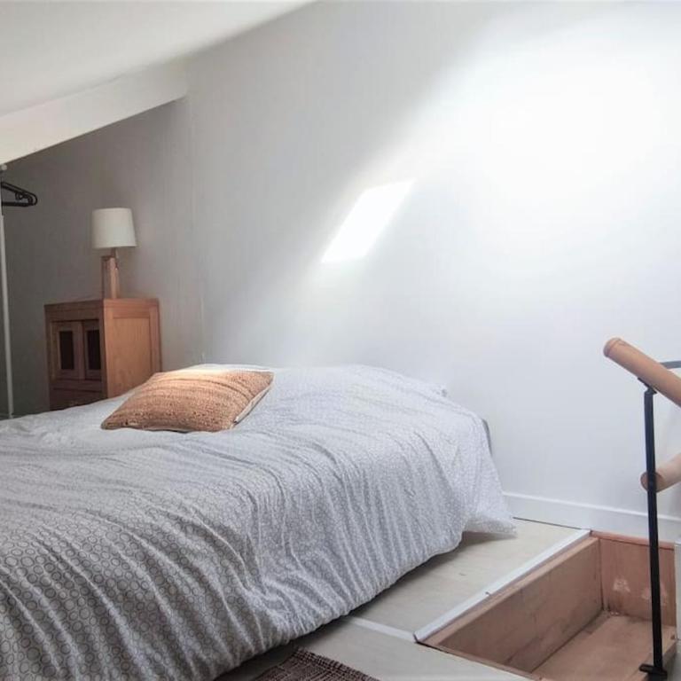 Duplex Canal du Midi - Appartement 1 Chambre - 24