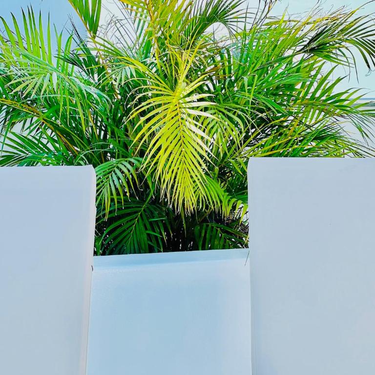 CIH Apartments - Apartment with Sea View - 67
