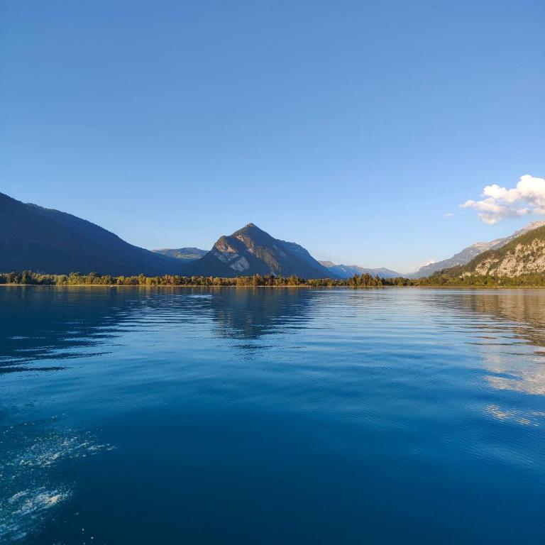 Downtown Apartments - Downtown 53 - Harderstrasse 44, 3800 Interlaken - 1