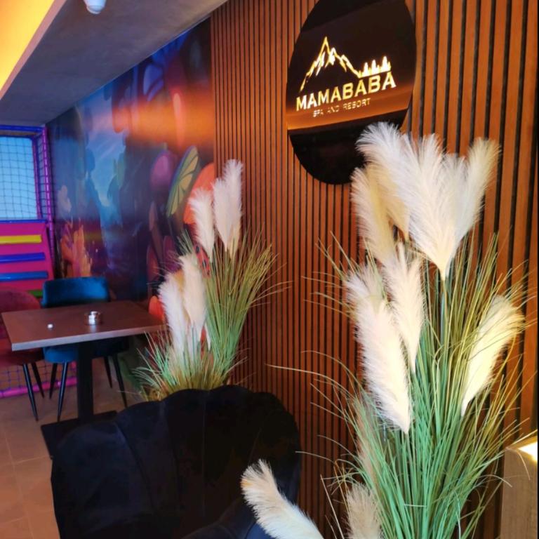 Apartman D&V Milmari Resort S10 - Apartment with Mountain View - 79