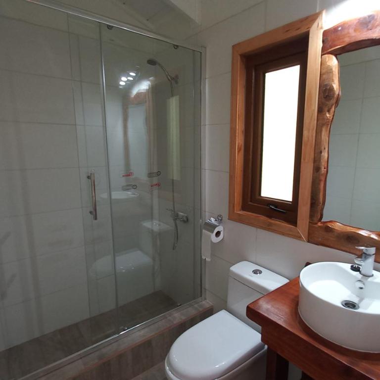 Cabaña para dos en Conguillio - One-Bedroom Apartment - 5