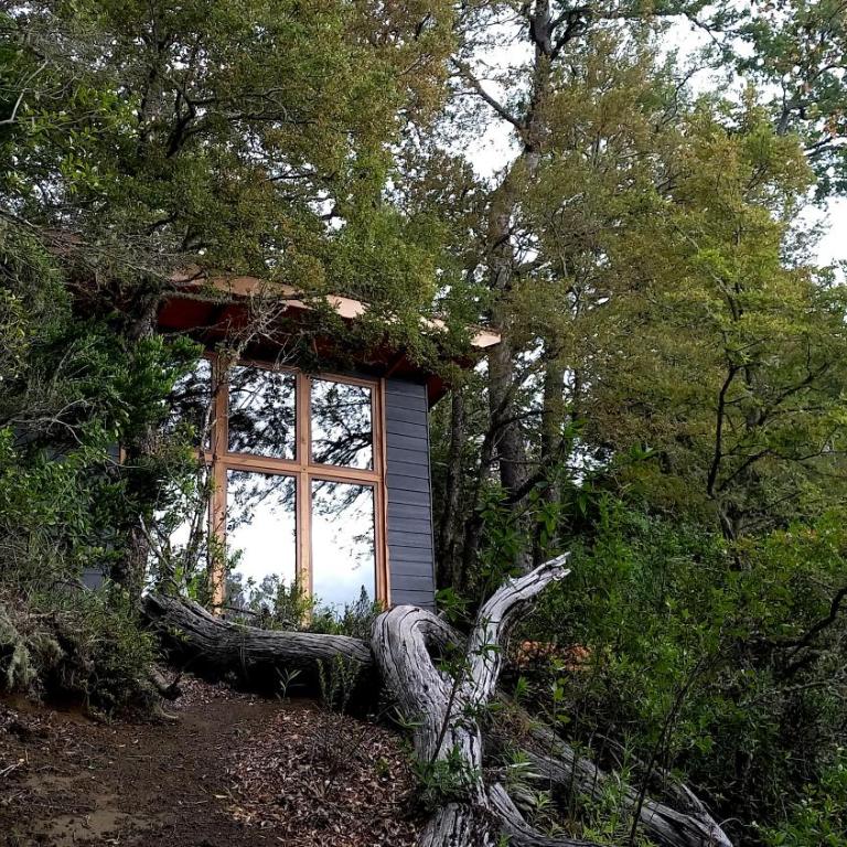 Cabaña para dos en Conguillio - One-Bedroom Apartment - 6