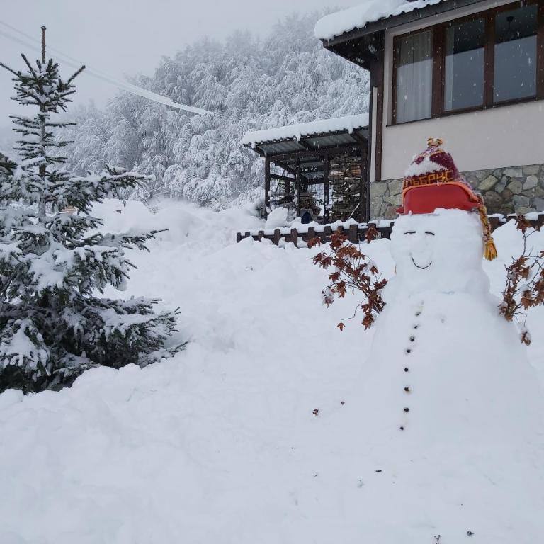 Holiday Home Drijenak - Vikendica sa Dve Spavaće Sobe - 12