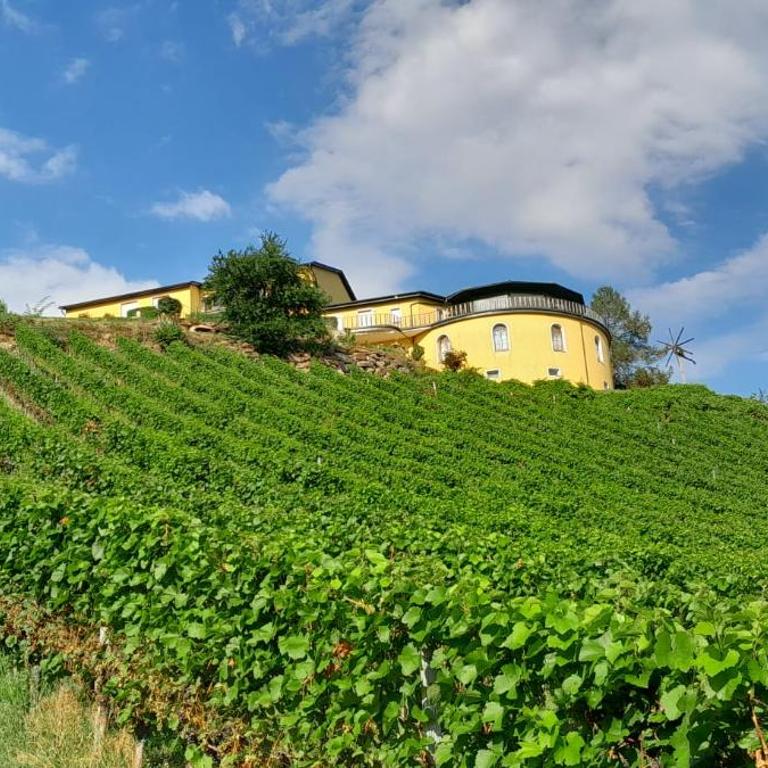 Glanz und Gloria Weingartenapartment an der Kellerstraße, viele Buschenschänke, sehr ruhige Lage, herrliche Aussicht! - Appartement - Vue sur Jardin - 13