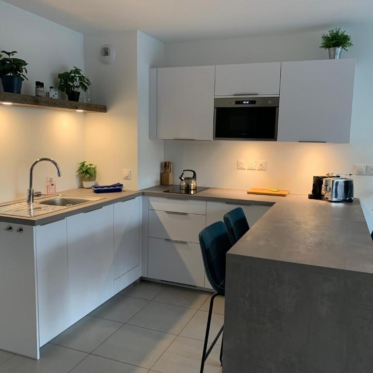 La Légende, 2 pièces avec parking privé gratuit près du lac - Appartamento con 1 Camera da Letto - 8