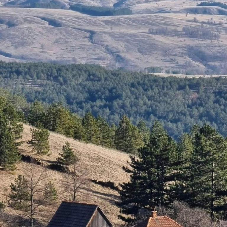 Divčibarski M.S.A. kutak - Kuća sa 3 Spavaće Sobe - 10