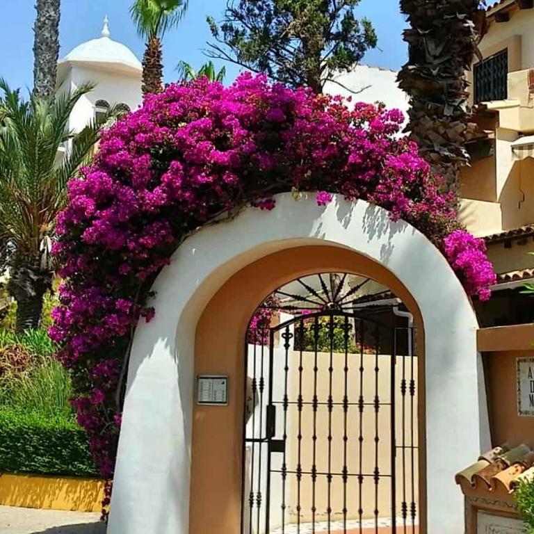 Paradiso Aldea Del Mar - Renovated 2BR Apartment - 300m from the Beach - Two-Bedroom Apartment - 29