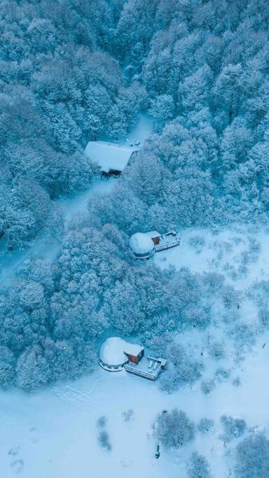 Cabaña en el bosque de Llanos del Castor - Three-Bedroom House - 38