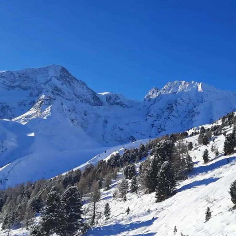 Le Panorama - Appartement 54 à Arolla face aux montagnes à 150m des pistes - Apartment mit 2 Schlafzimmern - 42