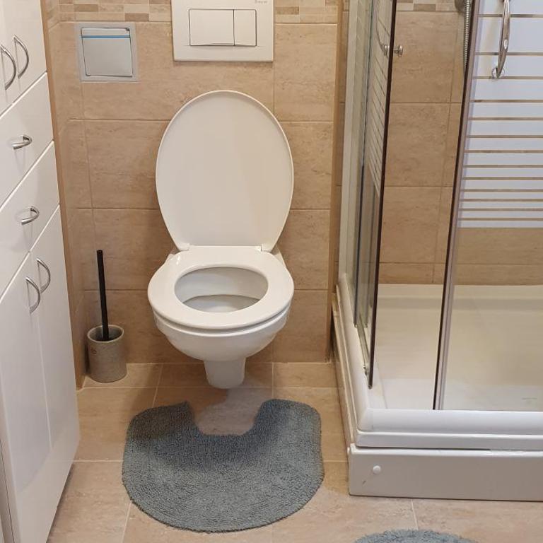 Apartman Victoria - Duplex Apartment - 17