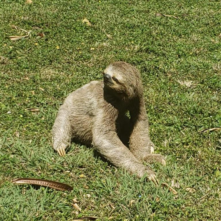 Casa Vida - Villa with Garden View - 43