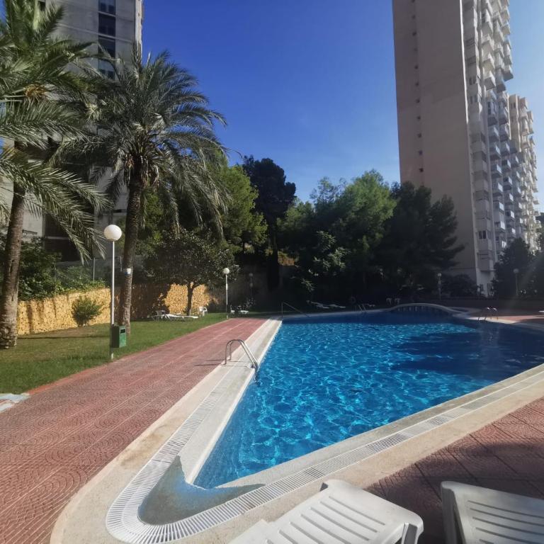 APTO SM MONTECARLO P19 EDIF.GEMELOS 15 BENIDORM PLAYA LEVANTE - Two-Bedroom Apartment - 42
