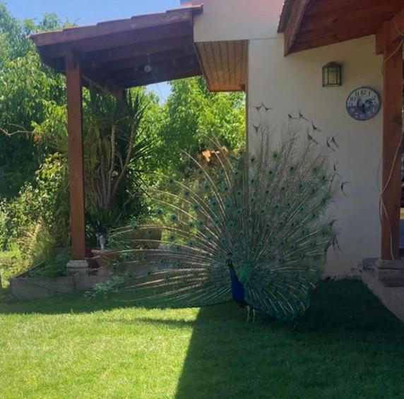 Alojamiento Los Nogales - Apartamento de 2 dormitorios - 24