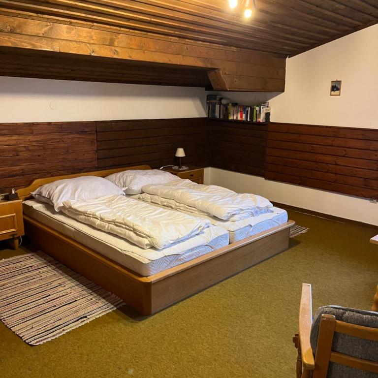 Dachgeschoss-Apartment in Skilift-Nähe - Apartment mit 1 Schlafzimmer - 13