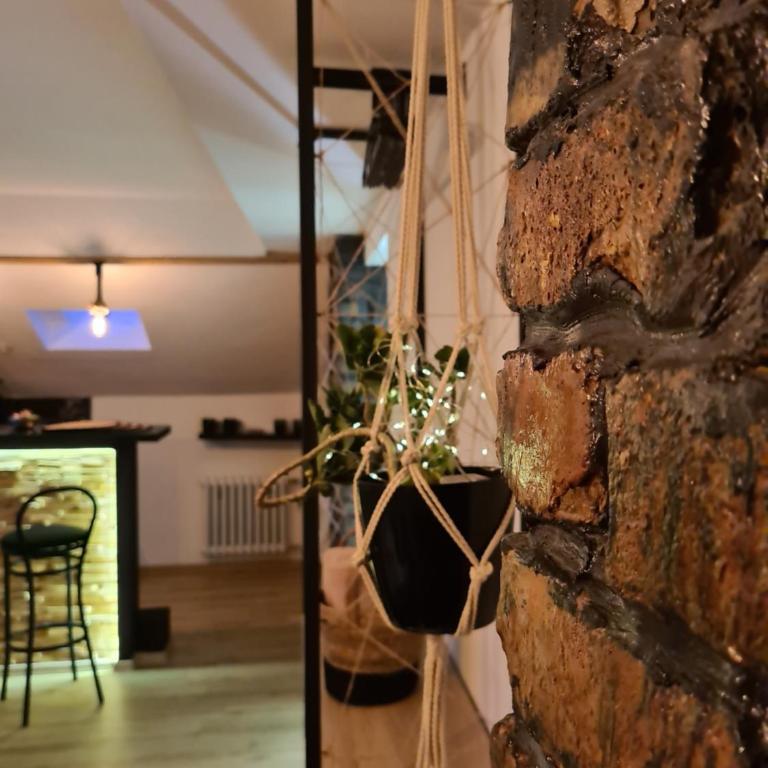 Gondola Apartment - Deluks Dvokrevetna Soba sa Bračnim Krevetom/Zasebnim Krevetima i Pogledom na Grad - 9