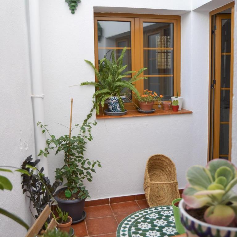 Casa típica y terraza, maison andalouse, typical house with rooftop - Casa de 3 dormitorios - 44