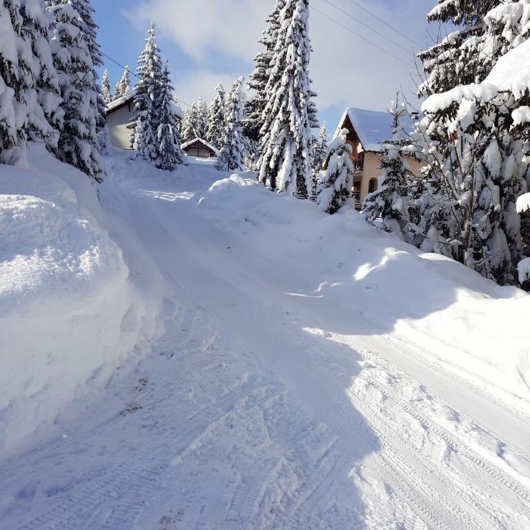 Vila Marina - Villa - 41