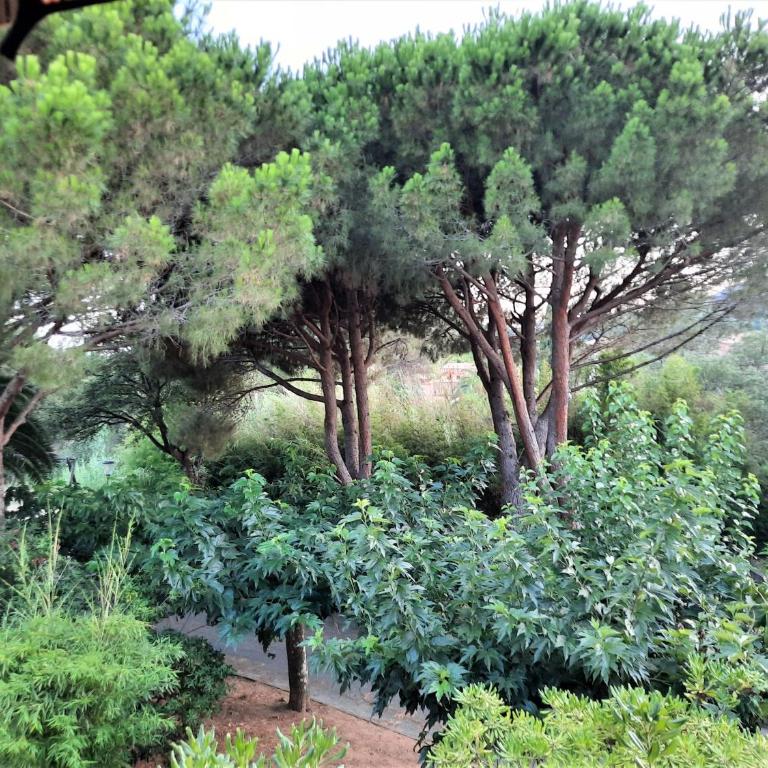 Cavalaire sur mer Appartement T3-160 m plage - 800 m Centre-ville. Park - Appartamento con Vista Giardino - 12