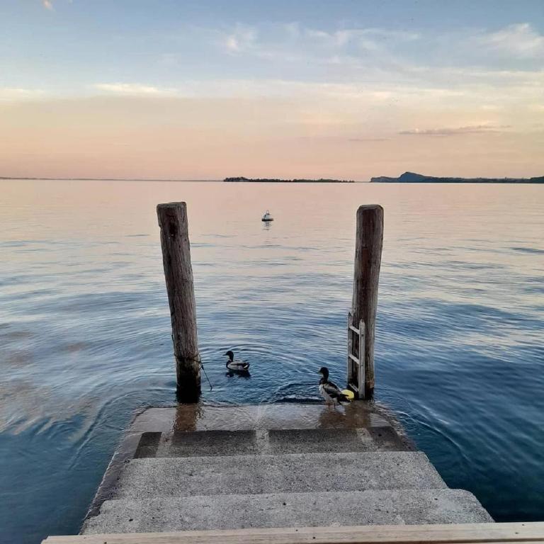 Bike Hotel Touring Gardone Riviera & Wellness - Camera Superior Matrimoniale/Doppia con Letti Singoli con Vista Lago - 4
