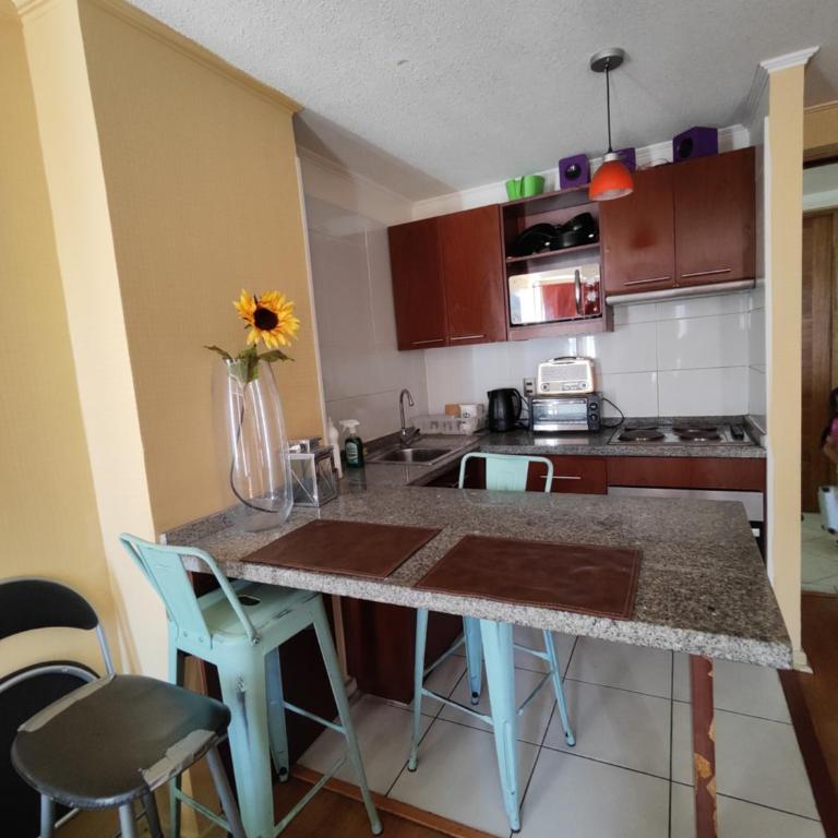 Departamento central 1 dormitorio - Apartamento de 2 dormitorios - 10