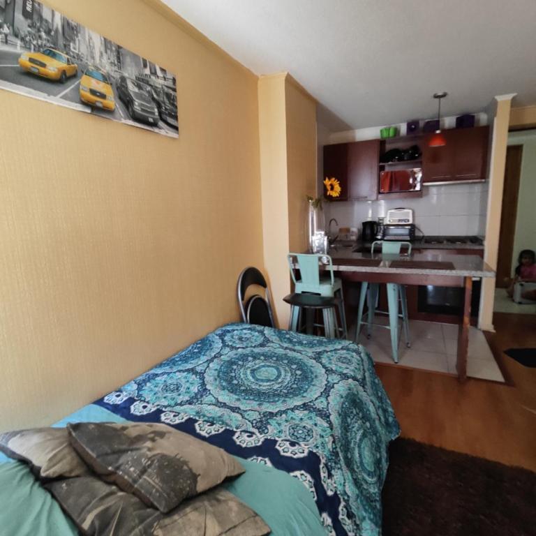 Departamento central 1 dormitorio - Apartamento de 2 dormitorios - 11