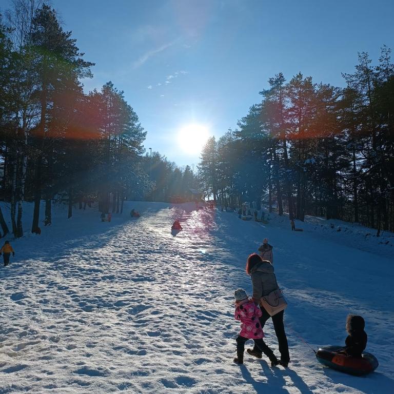 Apartman Meseceva dolina - Apartman sa 1 Spavaćom Sobom - 38