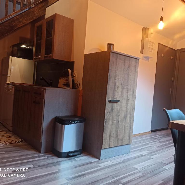 Appart Chalet hyper centre - Appartement 2 Chambres - 10