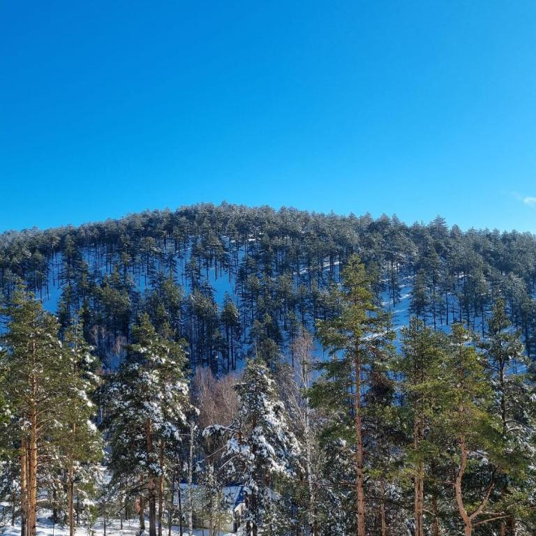 Apartmani Ćirić Divčibare - Apartman sa 1 Spavaćom Sobom - 65