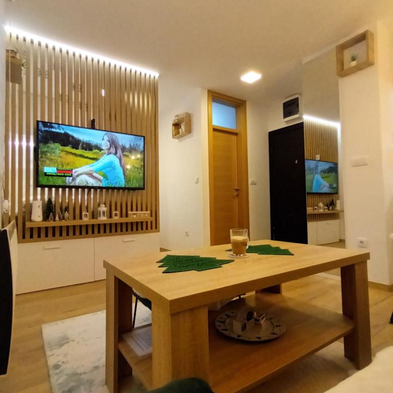 Acero Verde Jahorina - Studio - 5