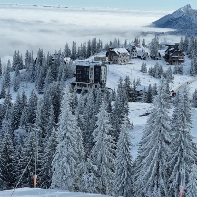 Apartman Drvorez-direktno na ski stazi - One-Bedroom Apartment - 32