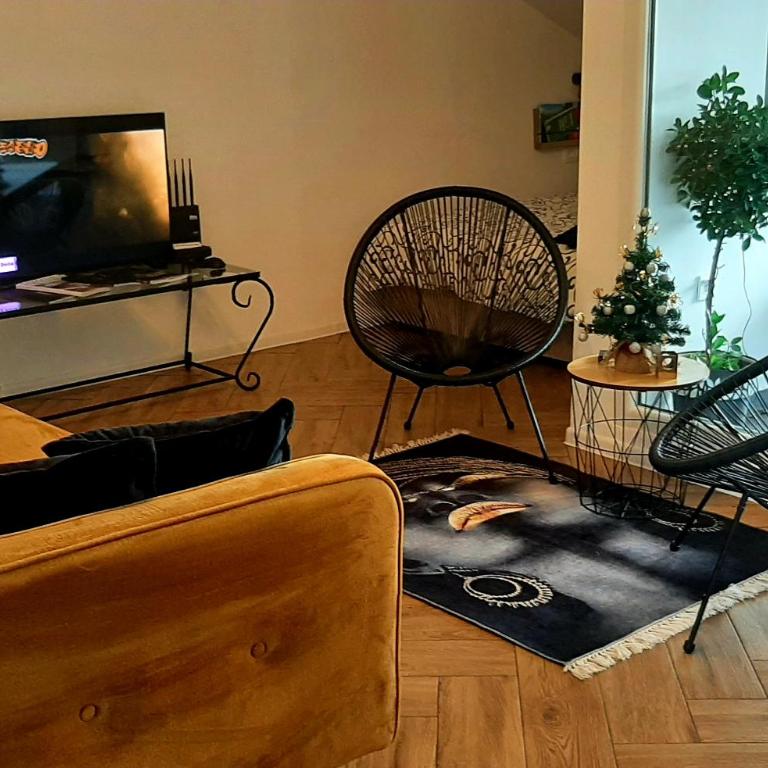 Ric Apartment Budva - Apartman sa 1 Spavaćom Sobom - 4