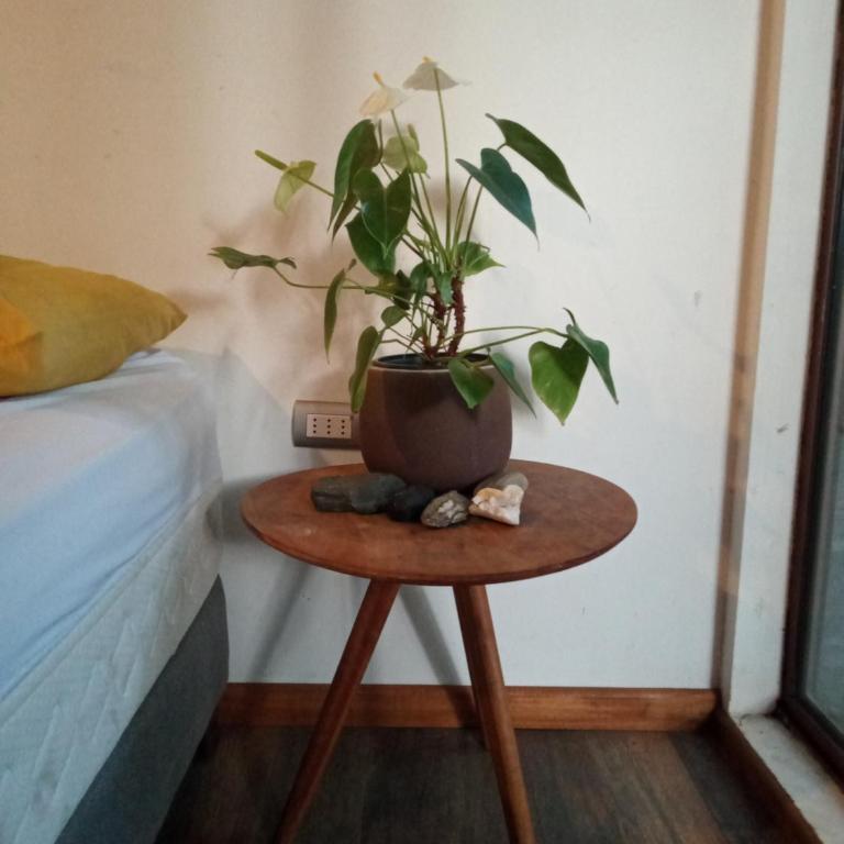 Casa del bosque en la ciudad - Apartment - 11