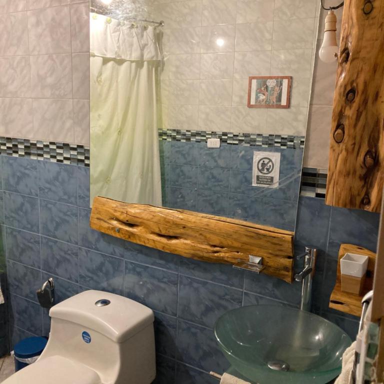 Cabaña En Lago colbun, sector Pasó Nevado - Chalet de 3 dormitorios - 18