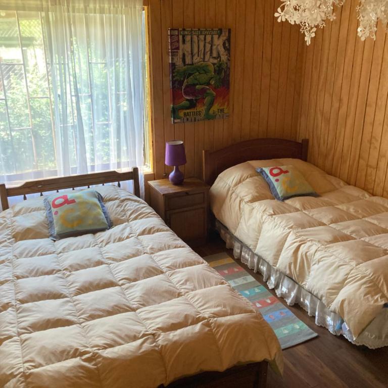 Cabaña En Lago colbun, sector Pasó Nevado - Chalet de 3 dormitorios - 13