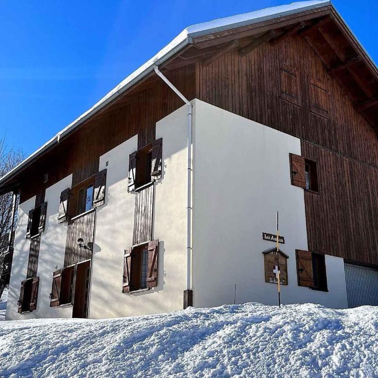 Appartement Chalet 46m², Garage, Proche Pistes, WIFI - Appartement 1 Chambre - 10