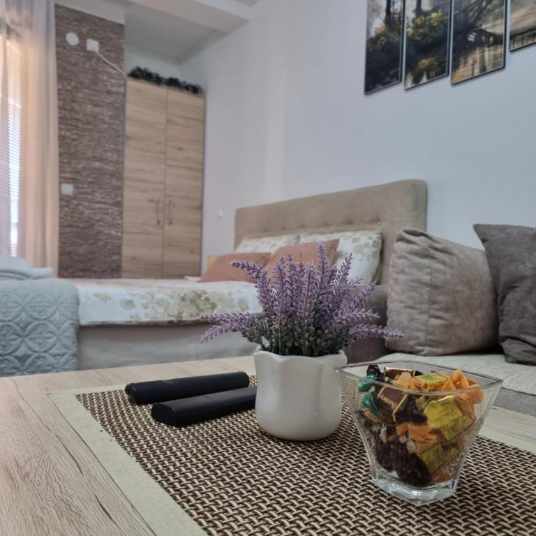 Apartman Temida Lux - Studio Apartment - 4